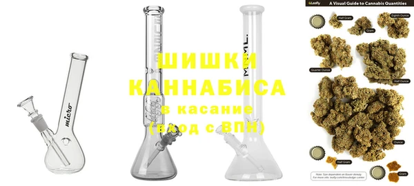 СК Семилуки
