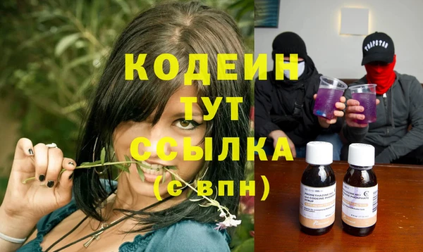 дживик Сатка